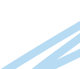 Decorative element hover